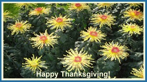 Happy Thanksgiving Bouquet